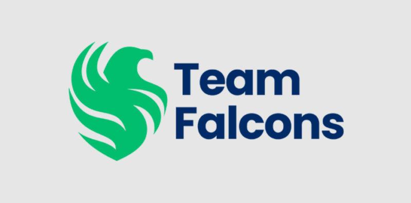 логотип Team Falcons